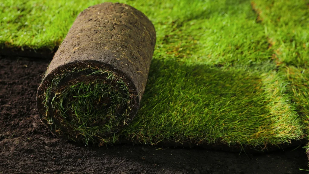 Sod & Artificial Grass Installation